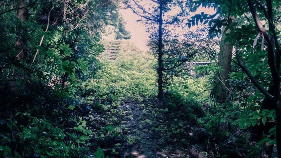e0176993_06142001.jpg