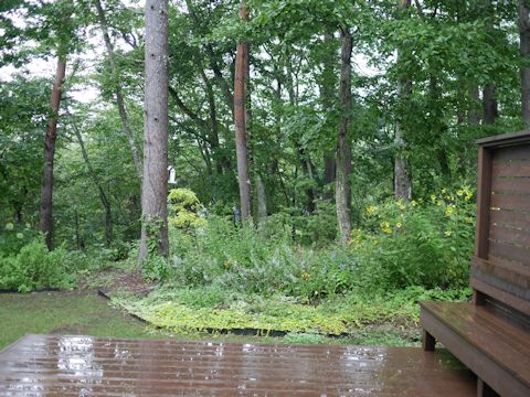 c0090198_2150870.jpg