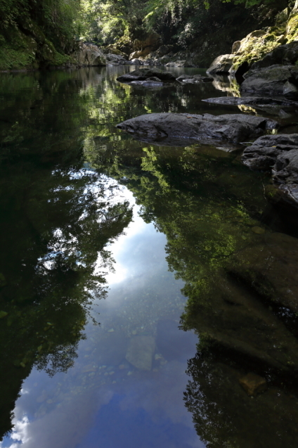 d0354901_13380016.jpg