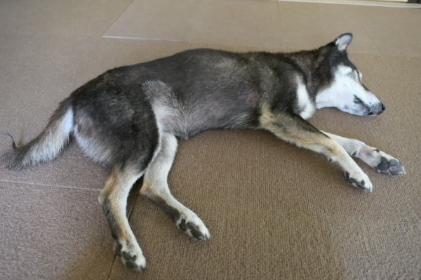 f0369014_14504791.jpg