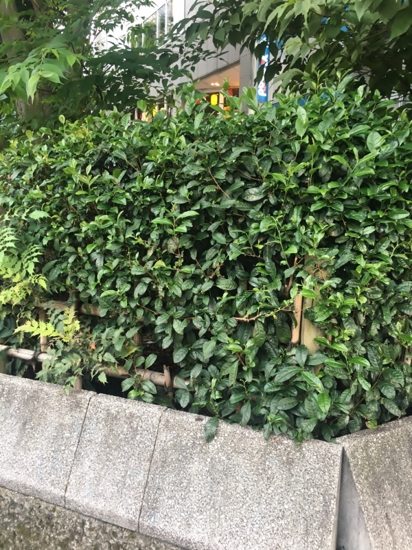 寄り道_b0220318_18050343.jpg
