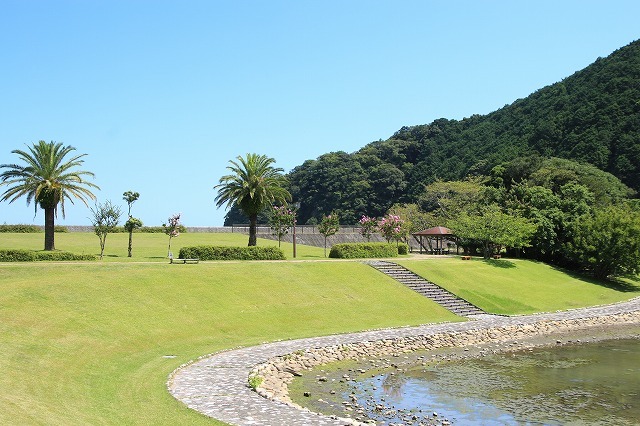 豊浦海岸と大白公園を散策 その1 新 たもつの 趣味悠々 豊浦海岸と大白公園を散策 その1 新 たもつの 趣味悠々
