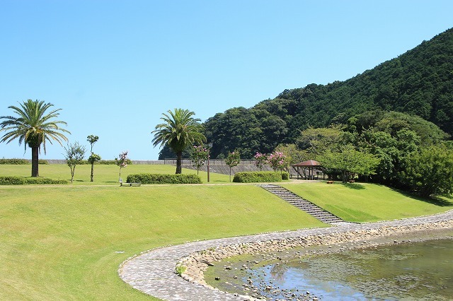 豊浦海岸と大白公園を散策（その1）_e0321325_14092909.jpg