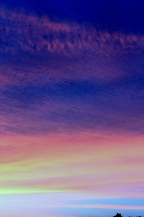 a0230831_18461491.jpg
