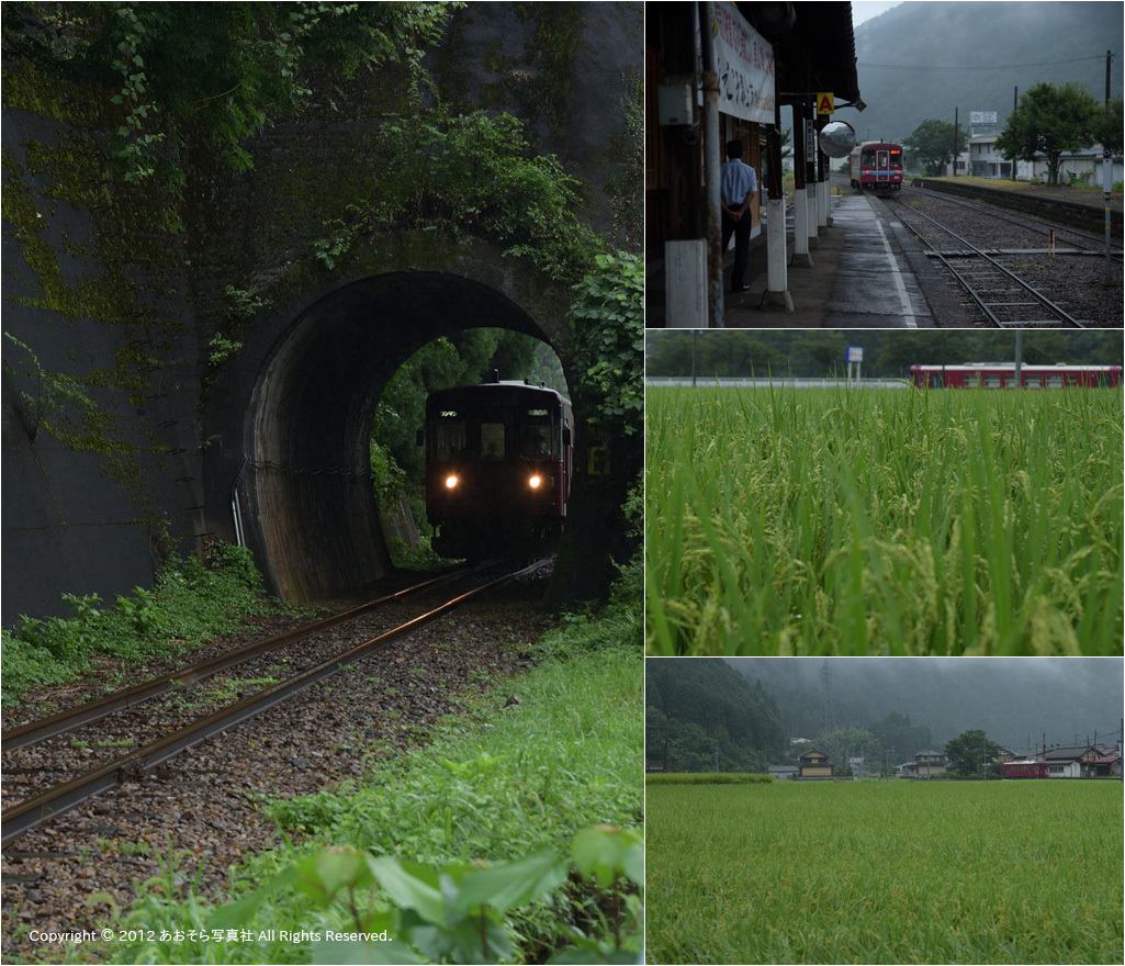 青春50きっぷ・夏旅♯5（長良川鉄道）_e0272231_12551811.jpg