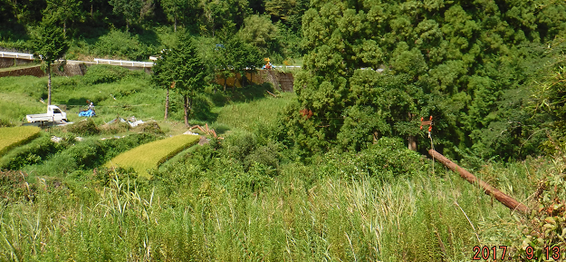 a0051539_20494218.png