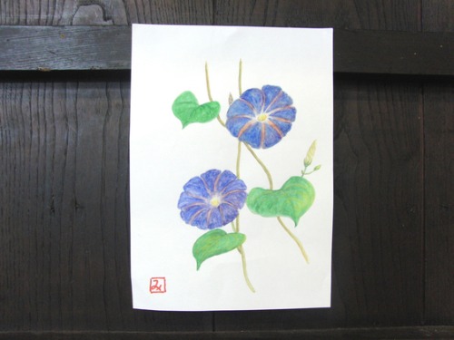 水彩画 ~ 朝顔 ~_e0222340_1685324.jpg