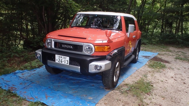 【中ア／南駒ヶ岳～越百山】夏休みの宿題をやっとやっつけました_c0097754_10040957.jpg