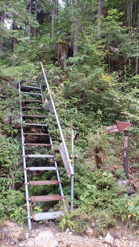 【中ア／南駒ヶ岳～越百山】夏休みの宿題をやっとやっつけました_c0097754_10063524.jpg