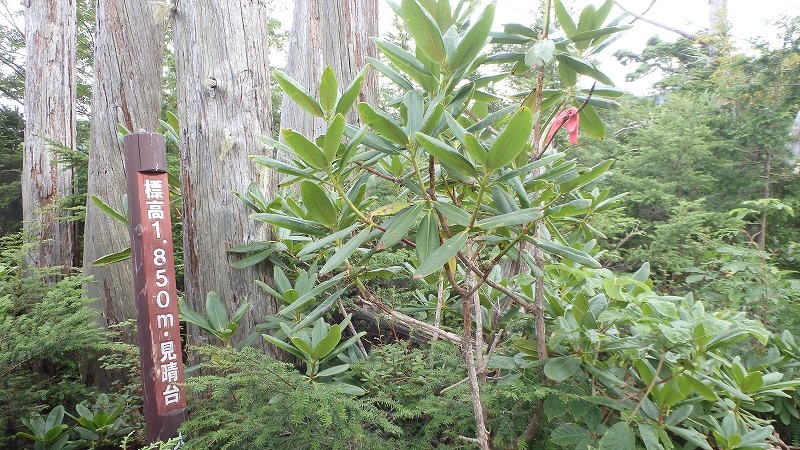 c0097754_10075593.jpg