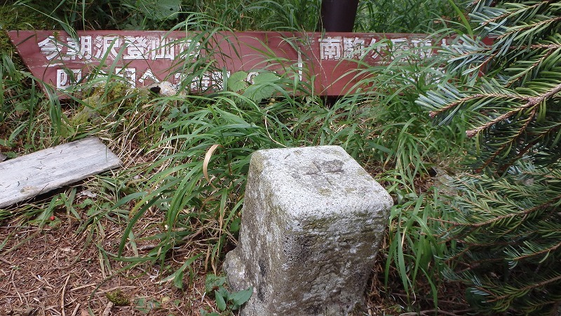 【中ア／南駒ヶ岳～越百山】夏休みの宿題をやっとやっつけました_c0097754_10105261.jpg