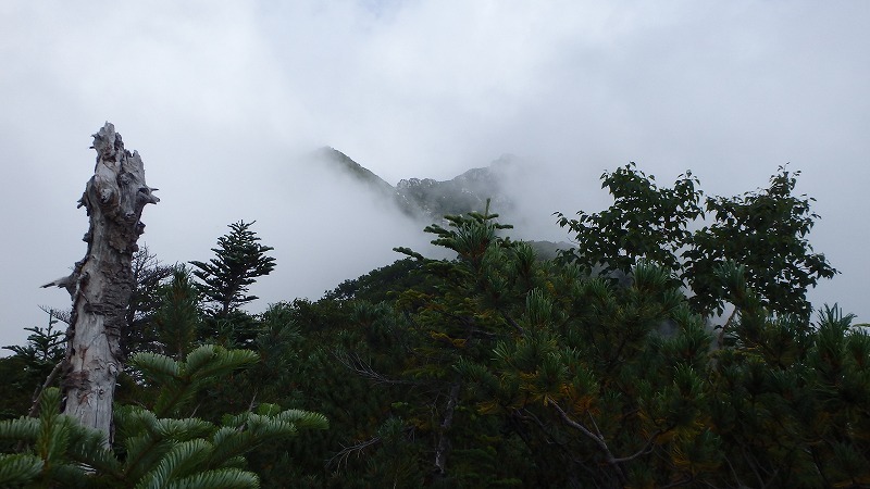 c0097754_10144365.jpg