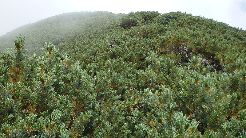 c0097754_10173879.jpg