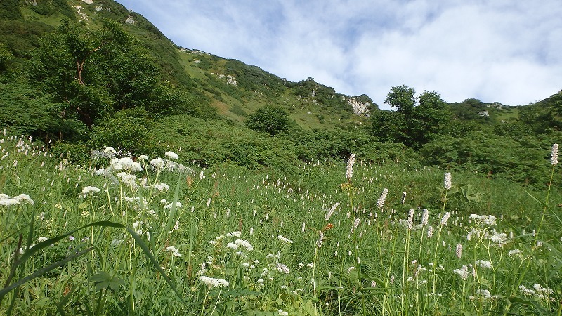 【中ア／南駒ヶ岳～越百山】夏休みの宿題をやっとやっつけました_c0097754_10450523.jpg