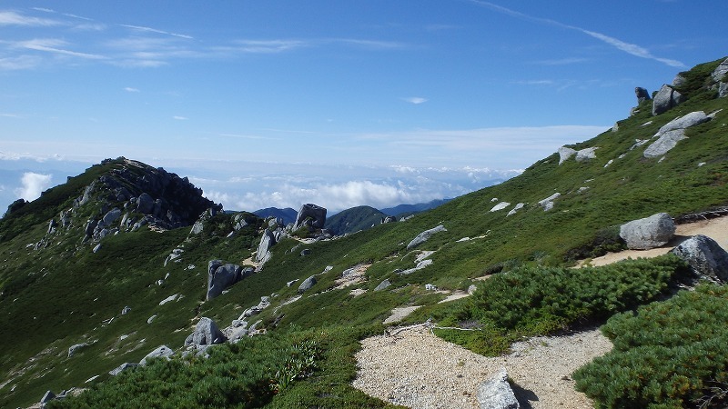 【中ア／南駒ヶ岳～越百山】夏休みの宿題をやっとやっつけました_c0097754_10490042.jpg