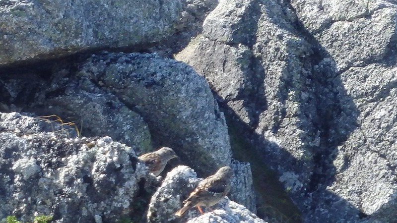 c0097754_10541542.jpg