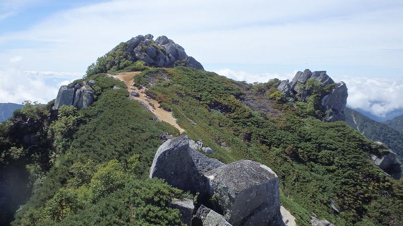 【中ア／南駒ヶ岳～越百山】夏休みの宿題をやっとやっつけました_c0097754_11000173.jpg