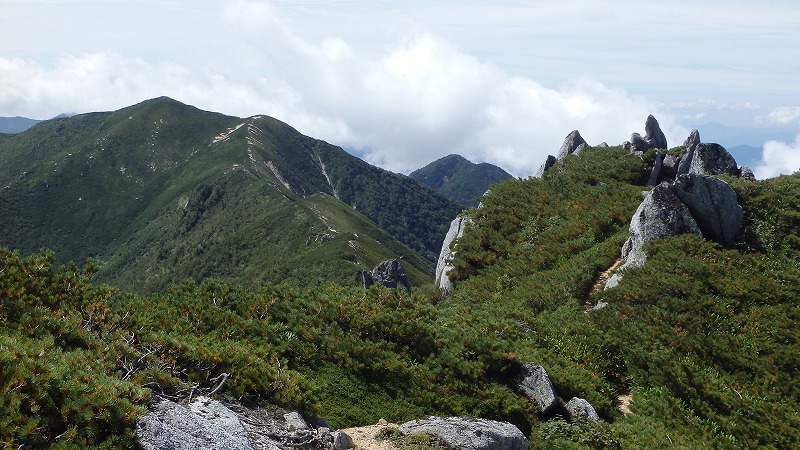 【中ア／南駒ヶ岳～越百山】夏休みの宿題をやっとやっつけました_c0097754_11122960.jpg