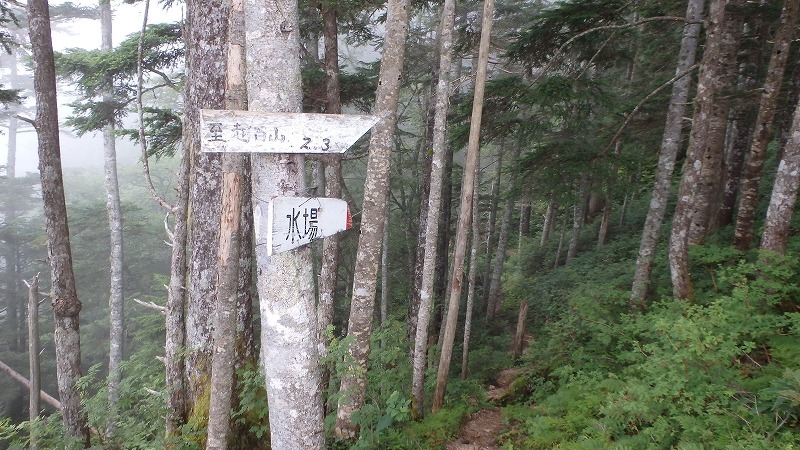 c0097754_11150133.jpg