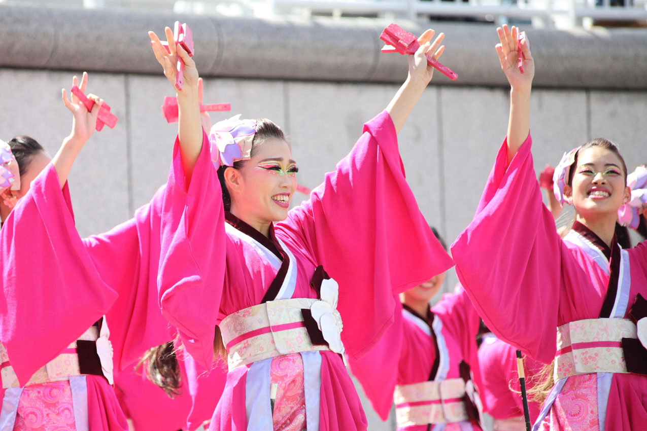 ハマこい2017【８】_c0299360_13381983.jpg