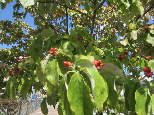 f0256164_14272141.jpg