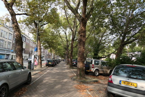 d0193569_09220401.jpg