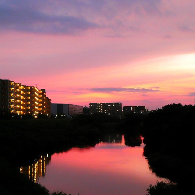 鶴見川　滲む夕景_d0367875_21342749.jpg