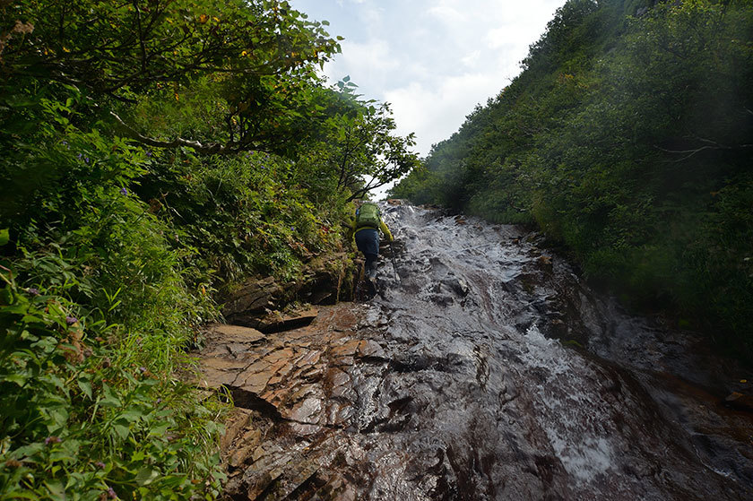 f0109977_15425351.jpg
