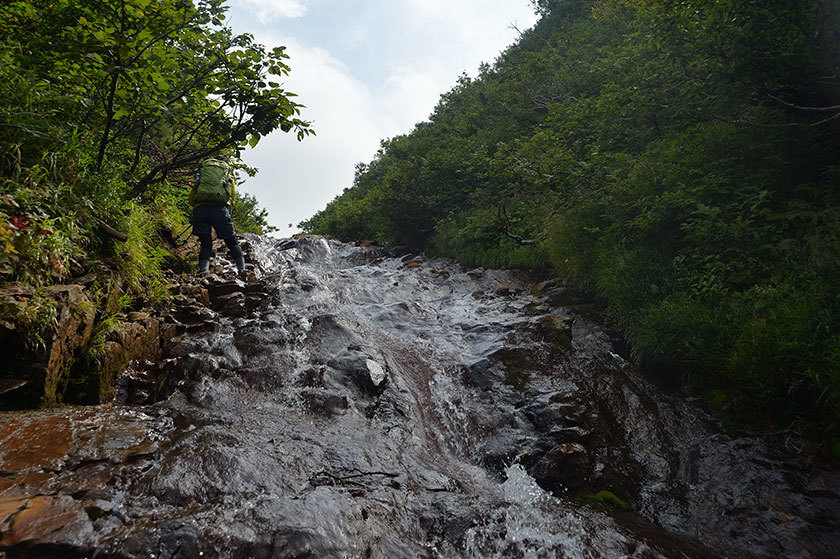 f0109977_15483694.jpg