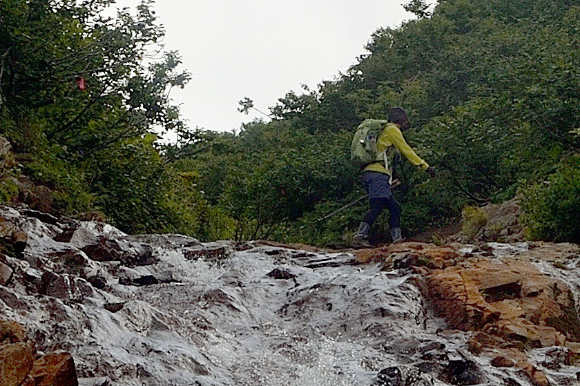 f0109977_15503257.jpg