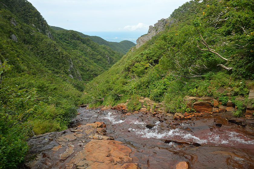 f0109977_15513170.jpg