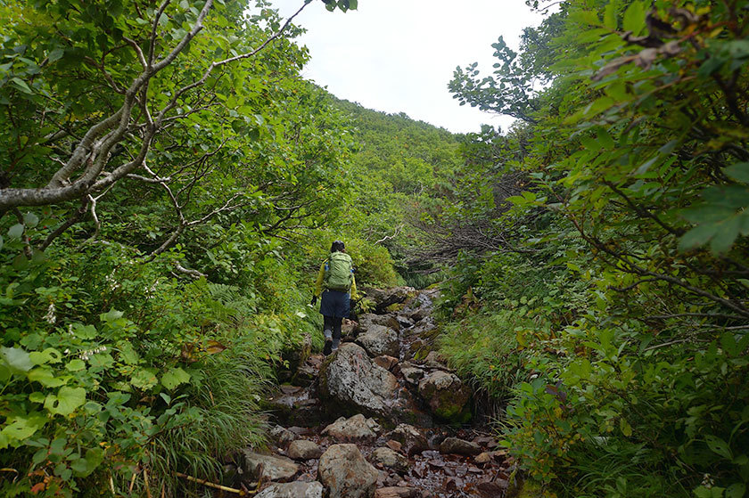 f0109977_15595564.jpg