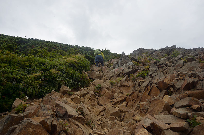 f0109977_16292682.jpg