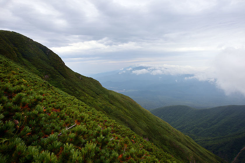 f0109977_16390182.jpg