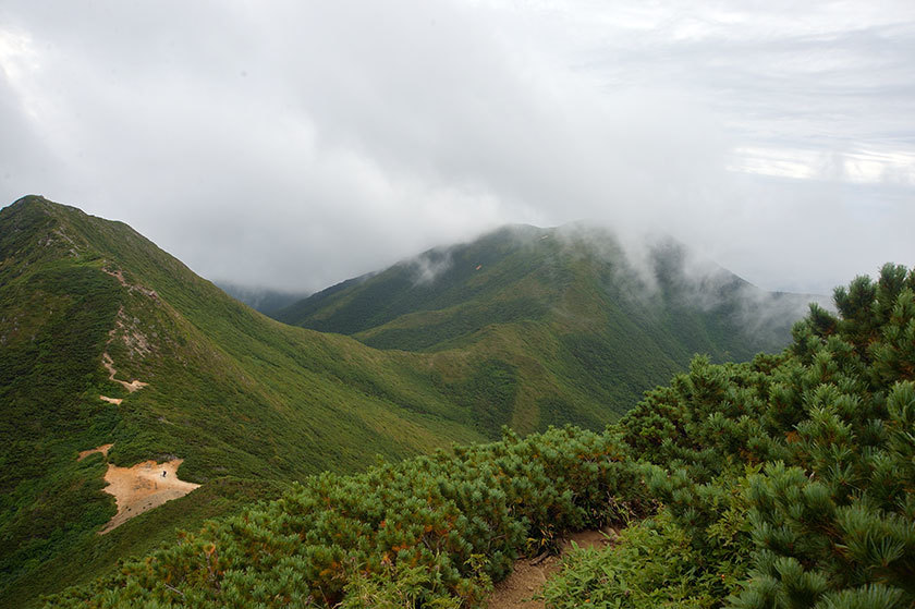 f0109977_16402395.jpg