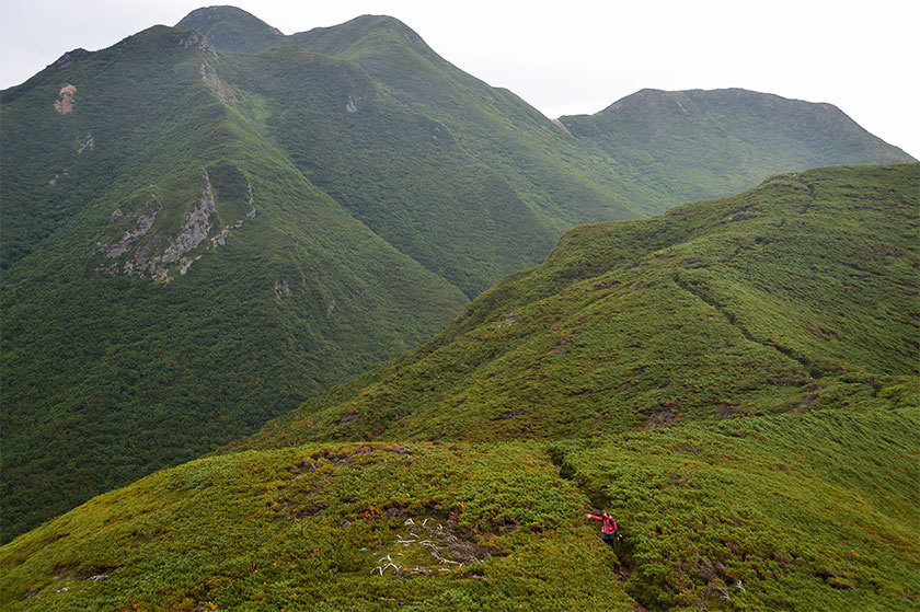 f0109977_18312564.jpg