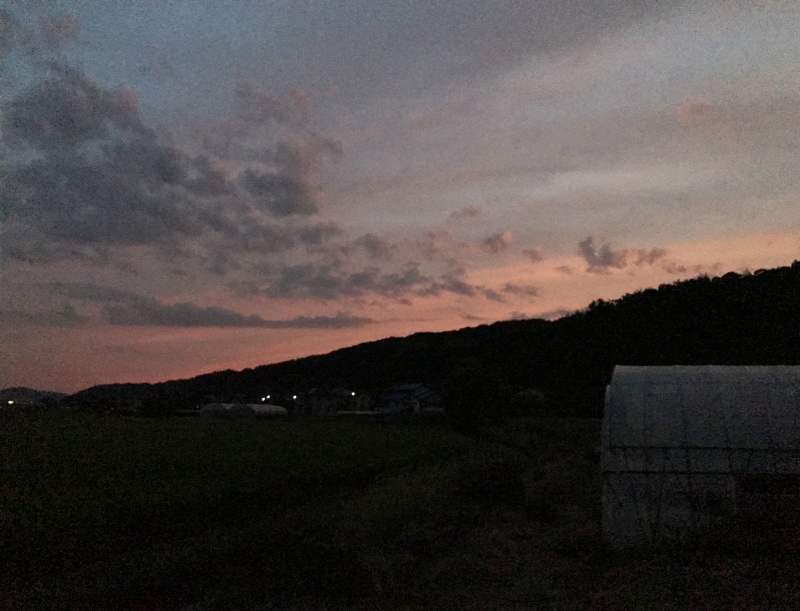 美しい夕暮れ時「最愛のココちゃんと夕日に向かって走ったよ」編_e0359584_20492043.jpg