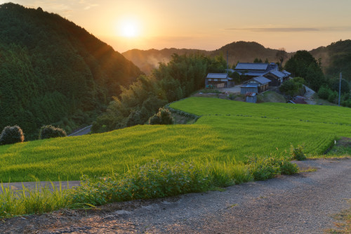 久々に訪問　～山の上の一軒家　_e0366896_22521927.jpg