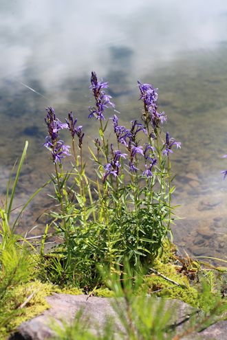c0090198_2054311.jpg