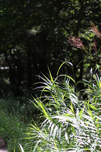c0090198_208345.jpg