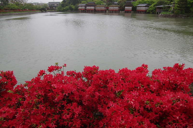 c0382798_09581355.jpg