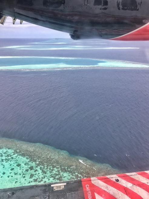 e0368107_09184391.jpg