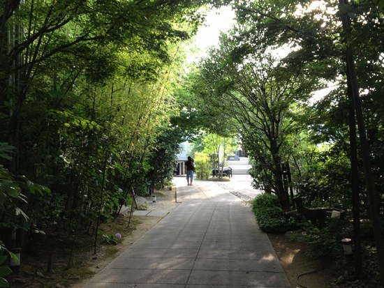 f0221708_13461247.jpg