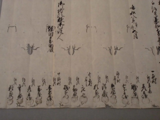 「江戸時代は『文書主義』の時代」 「東泉院」をテーマにした富士山かぐや姫ミュージアムの企画展_f0141310_07535986.jpg