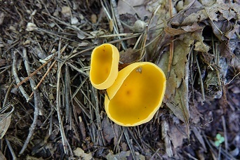 f0360815_15320734.jpg