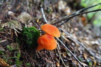f0360815_15320830.jpg