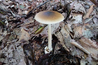 f0360815_15320869.jpg