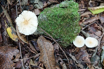 f0360815_15320938.jpg