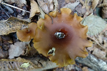 f0360815_15320950.jpg