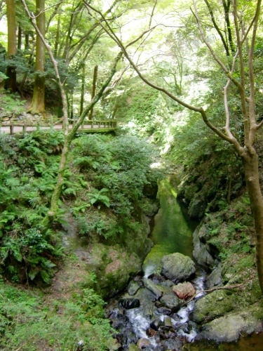 箕面滝・瀧安寺（大阪府箕面市）_c0219820_22360310.jpg